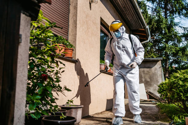 Best Residential Pest Control  in Albert Lea, MN