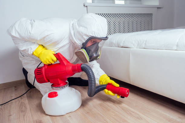 Pest Prevention Services in Albert Lea, MN