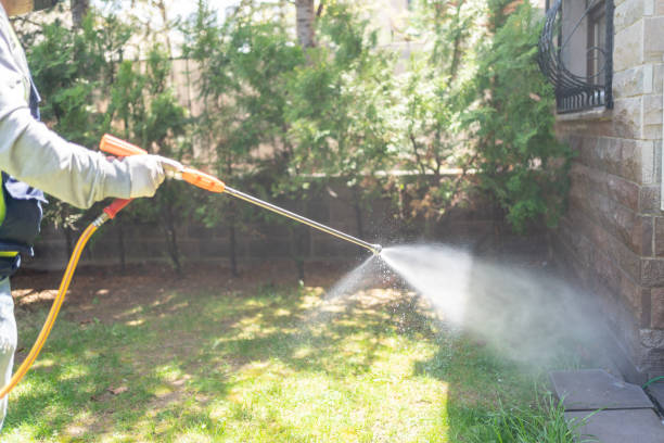 Best Mosquito Control Services  in Albert Lea, MN