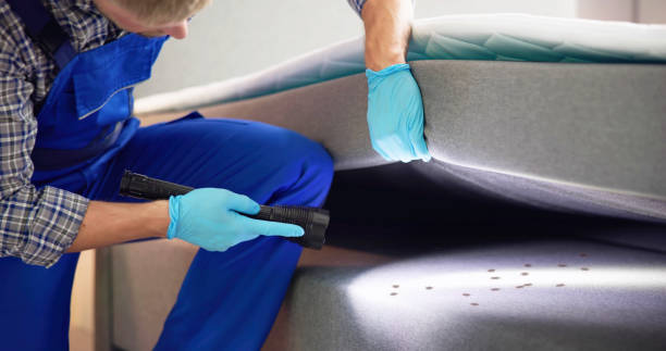 Best Flea Control Services  in Albert Lea, MN