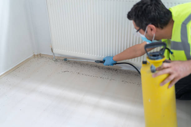 Best Cockroach Control Services  in Albert Lea, MN