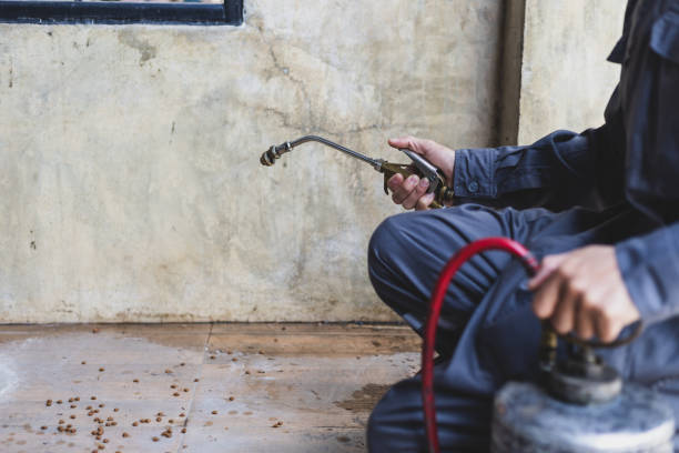 Best Mosquito Control Services  in Albert Lea, MN